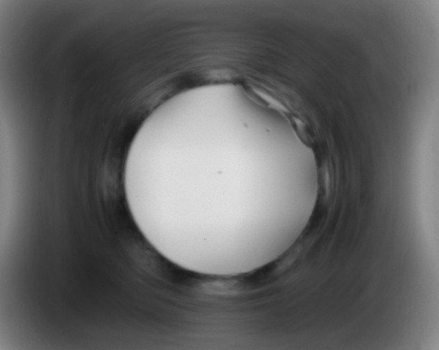 X0000085230422200703301729