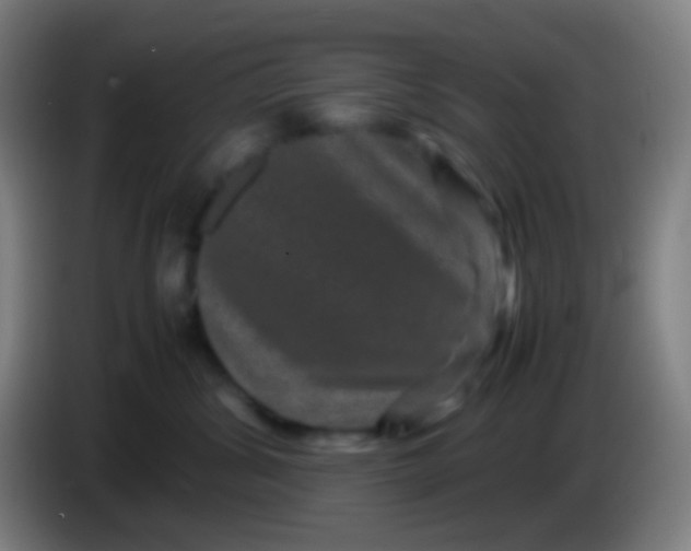 X0000085230428200703301729