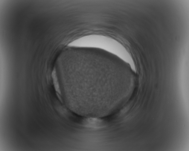 X0000085230429200703301729