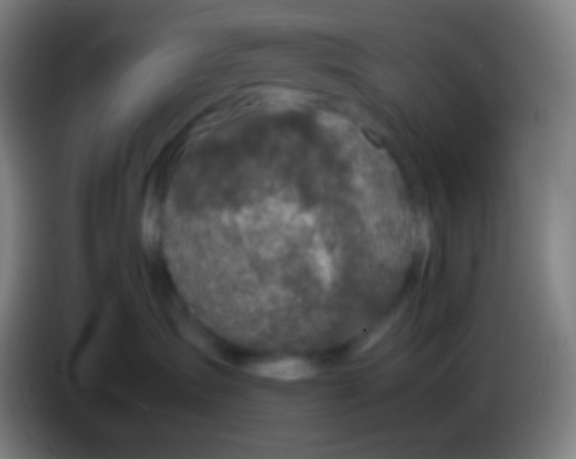X0000085230431200703301729