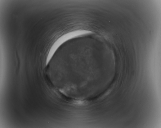 X0000085230432200703301729