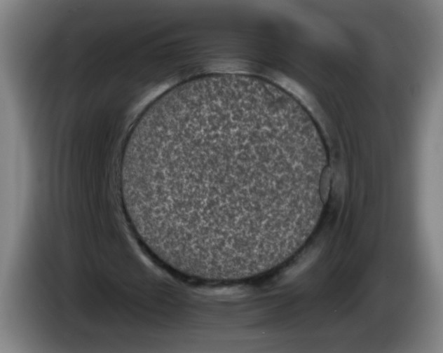 X0000085230433200703301729