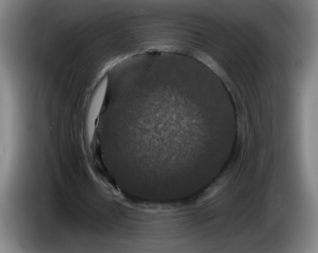 X0000085230434200703301729