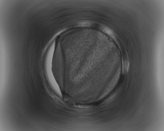 X0000085230435200703301729