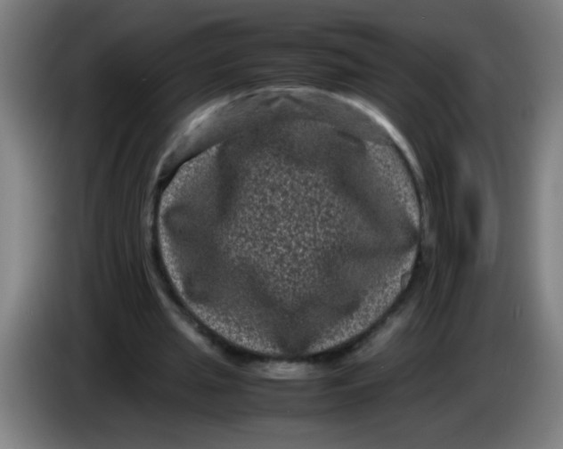 X0000085230437200703301729