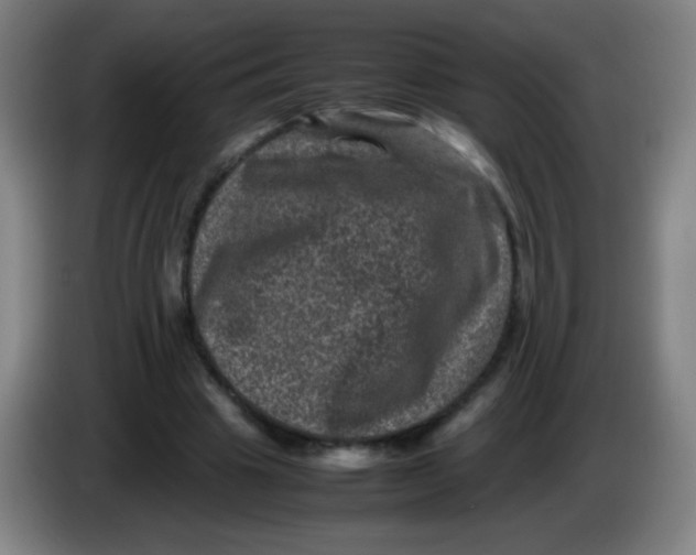 X0000085230441200703301729