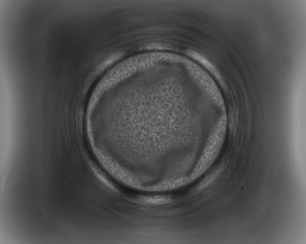 X0000085230445200703301729
