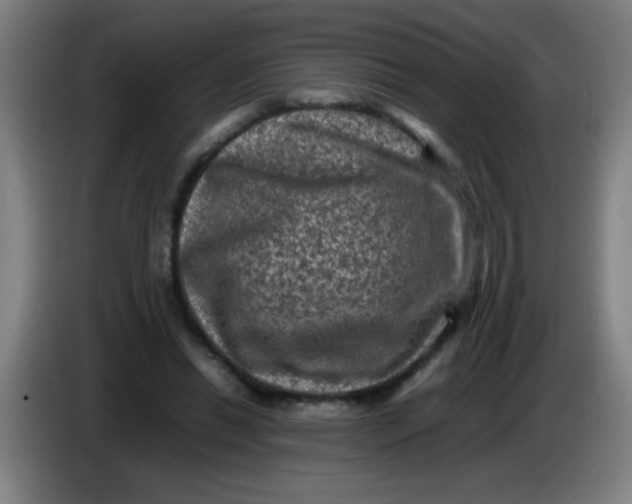 X0000085230446200703301729