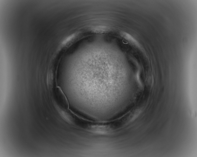X0000085230448200703301729