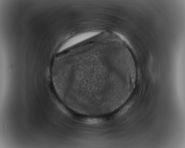 X0000085230453200703301729