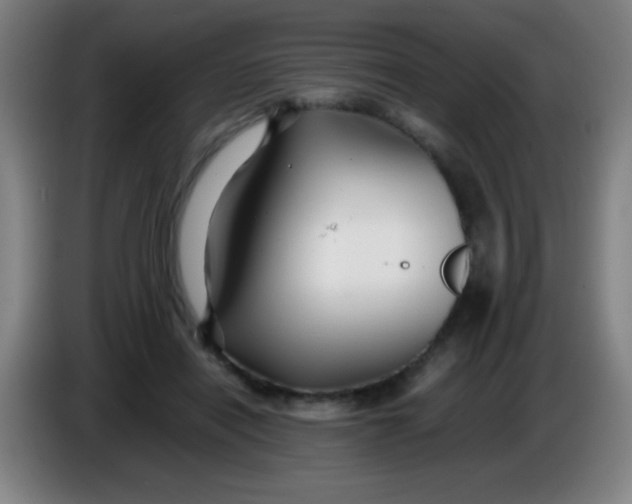 X0000085230454200703301729