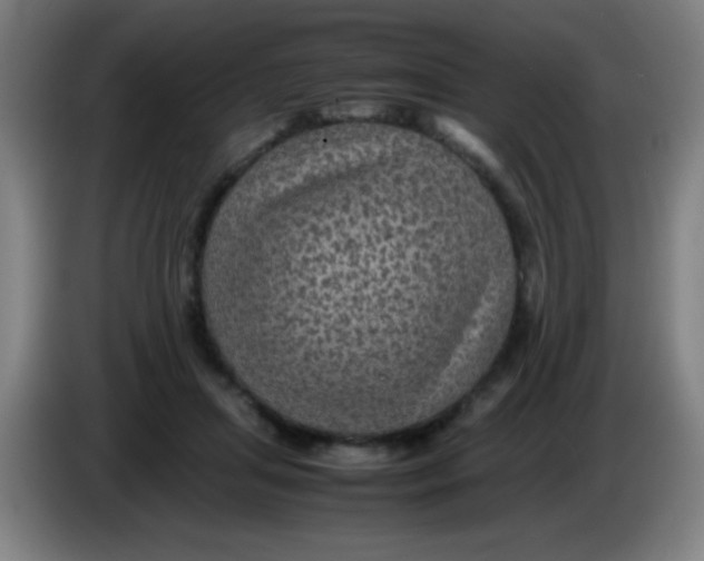 X0000085230455200703301729