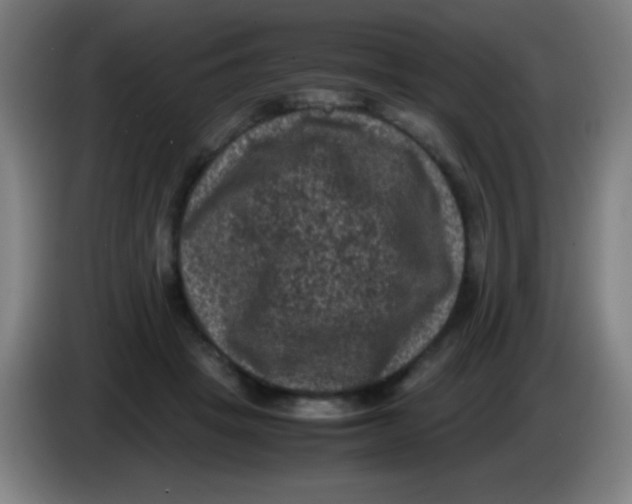 X0000085230457200703301729