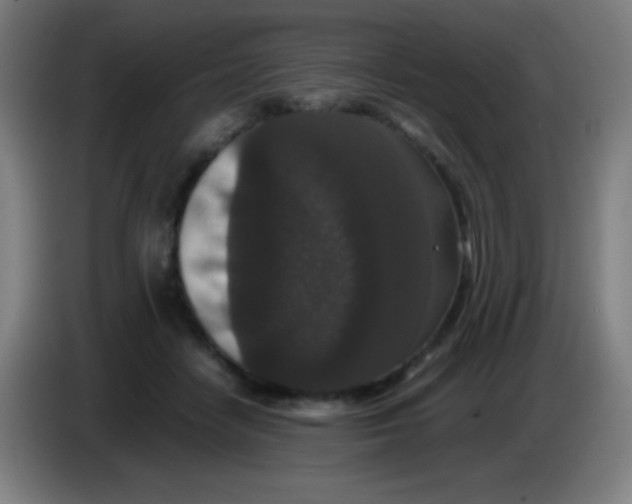 X0000085230458200703301729