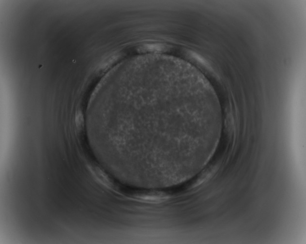 X0000085230459200703301729