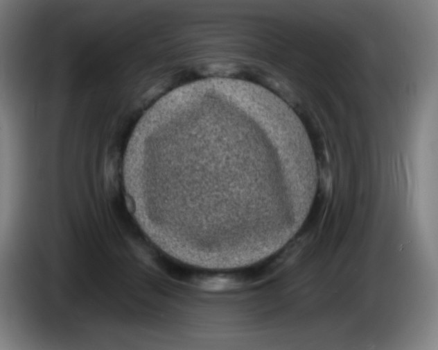 X0000085230460200703301729
