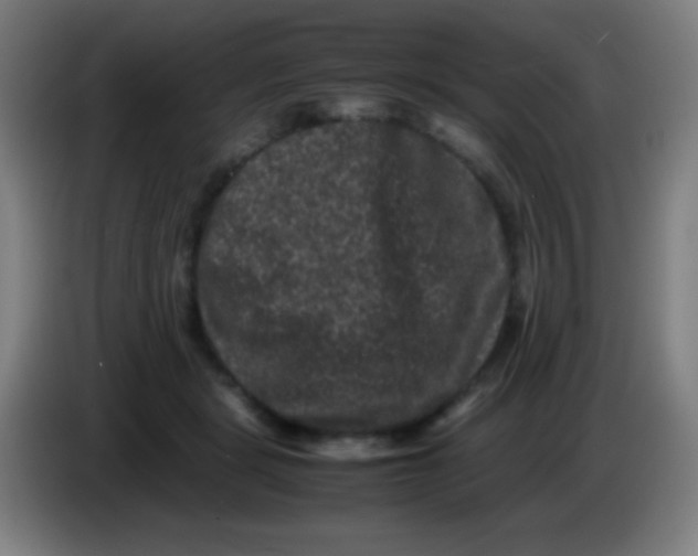 X0000085230461200703301729