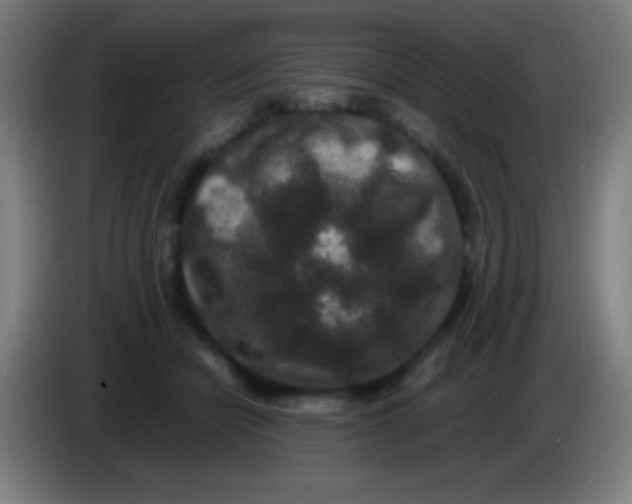 X0000085230462200703301729