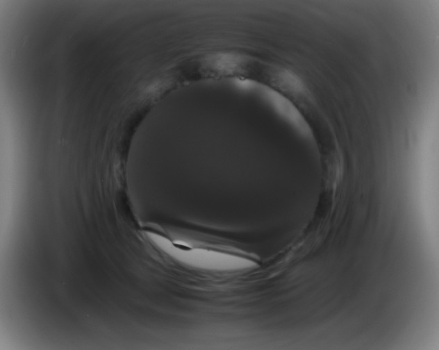 X0000085230465200703301729