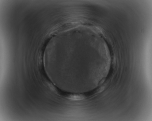 X0000085230466200703301729