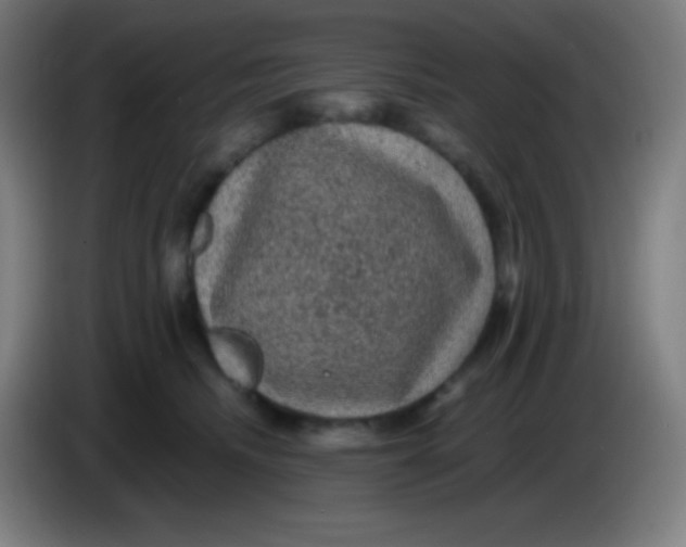 X0000085230468200703301729