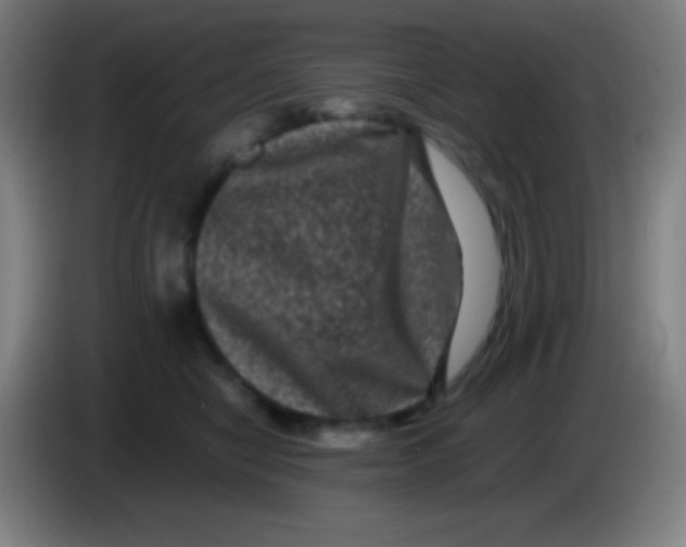 X0000085230470200703301729