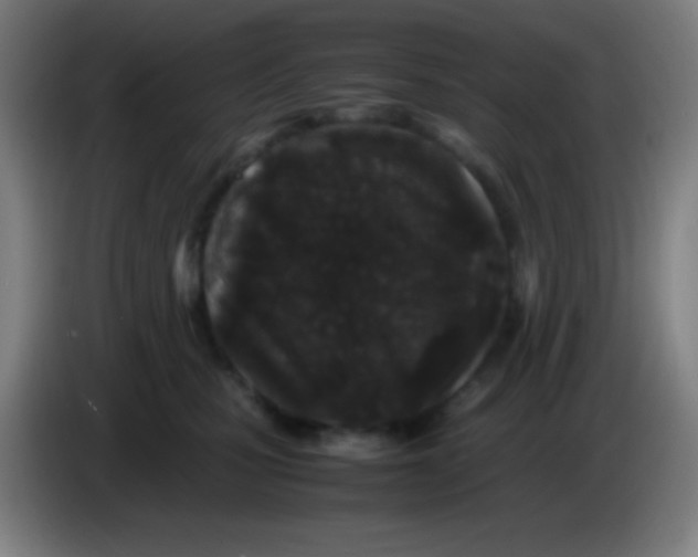X0000085230471200703301729