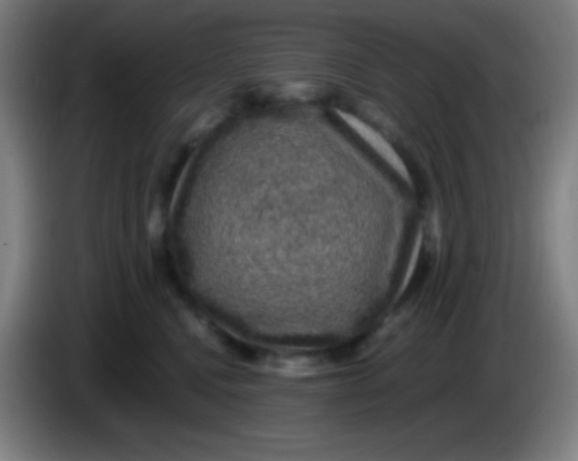 X0000085230472200703301729