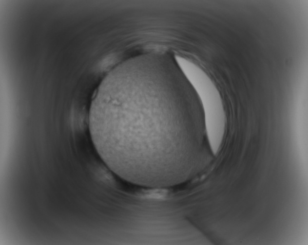 X0000085230474200703301729