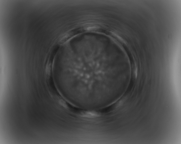 X0000085230475200703301729