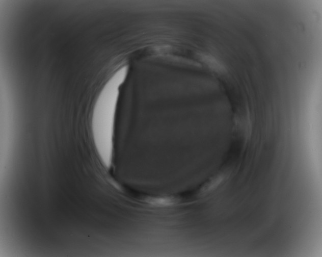 X0000085230479200703301729