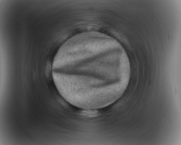 X0000085230480200703301729