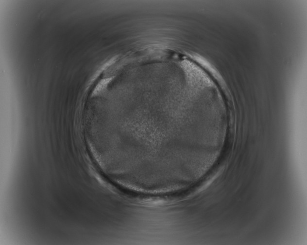 X0000085230481200703301729
