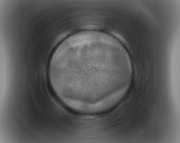 X0000085230482200703301729