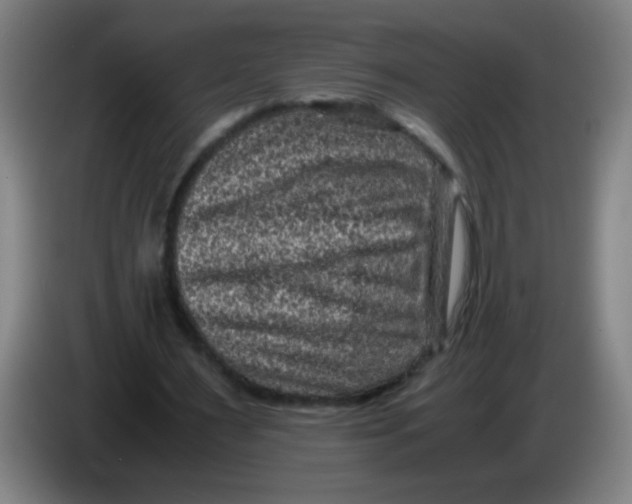 X0000085230483200703301729