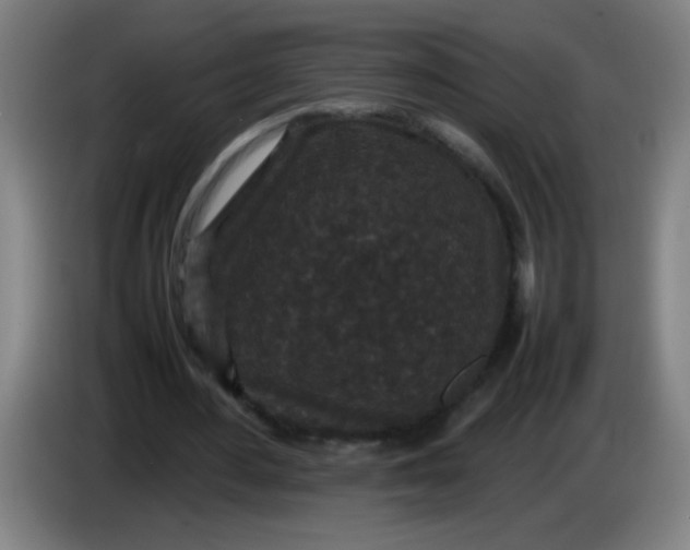 X0000085230484200703301729