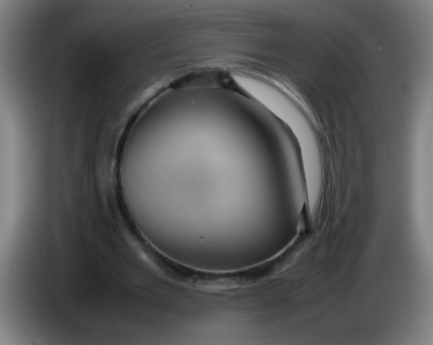 X0000085230485200703301729