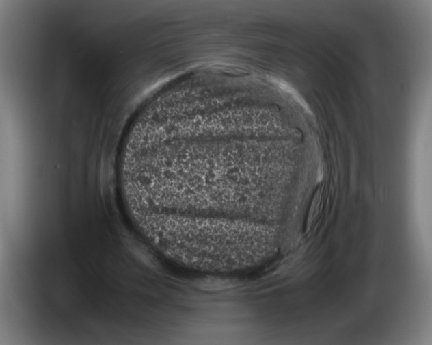 X0000085230487200703301729