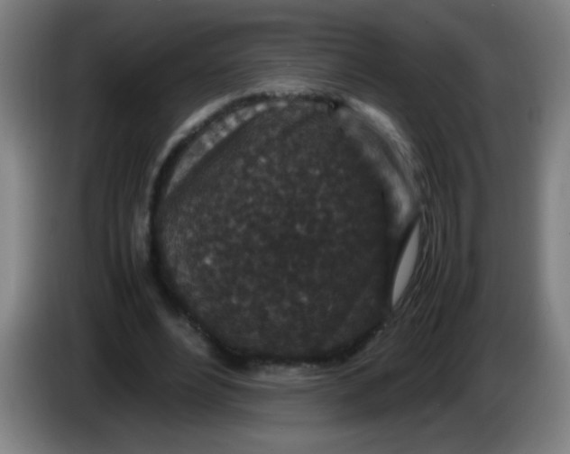 X0000085230488200703301729