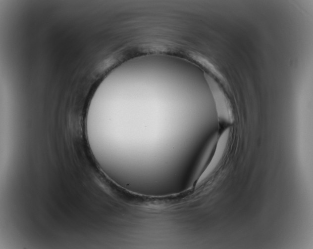 X0000085230489200703301729