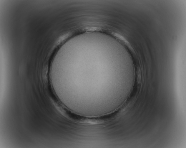 X0000085230490200703301729