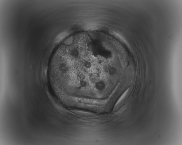 X0000085230491200703301729