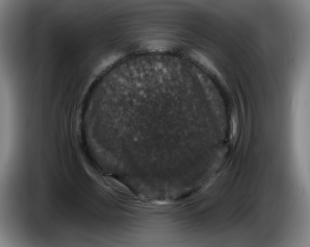 X0000085230492200703301729