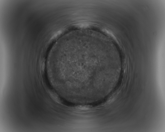 X0000085230495200703301728