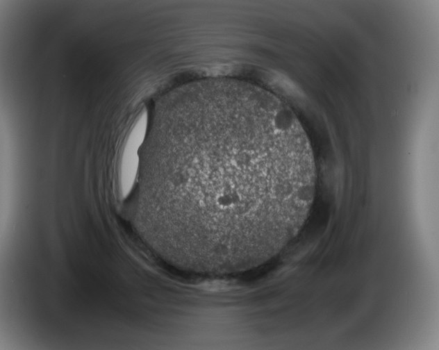 X0000085230499200703301728