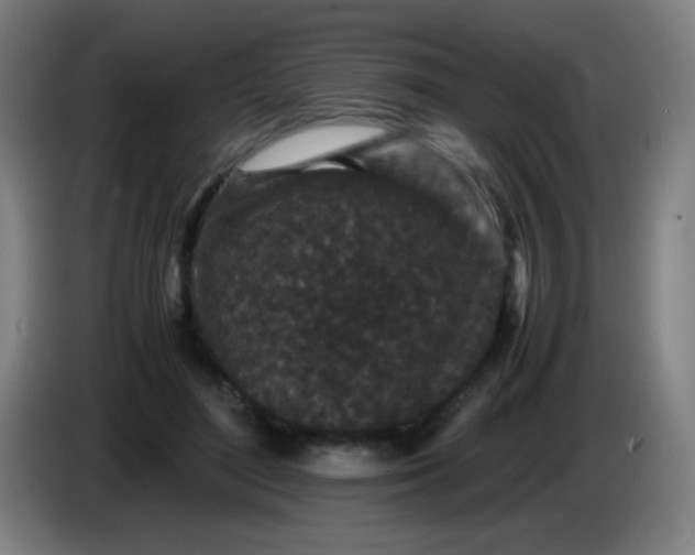 X0000085230500200703301728