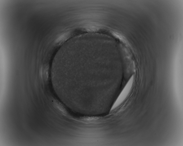 X0000085230501200703301728