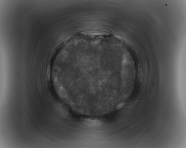 X0000085230502200703301728