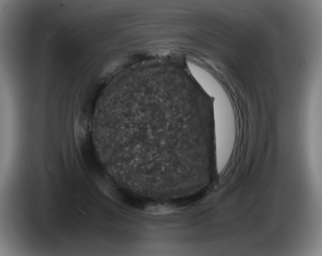 X0000085230503200703301728