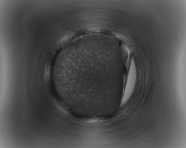 X0000085230504200703301728